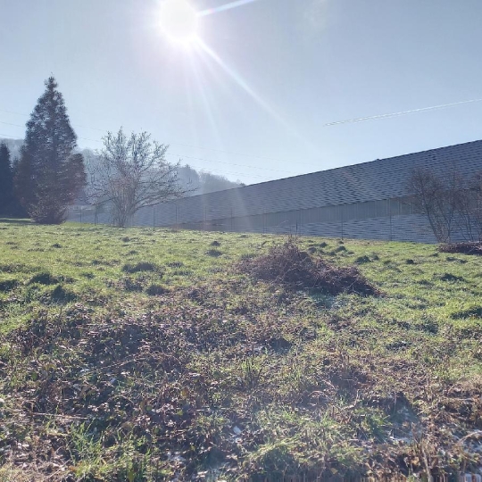  LOLITA JASKO IMMOBILIER : Terrain | BAREMBACH (67130) | 885 m2 | 107 000 € 