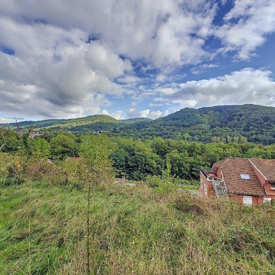LOLITA JASKO IMMOBILIER : Terrain | WISCHES (67130) | 1429.00m2 | 75 000 € 