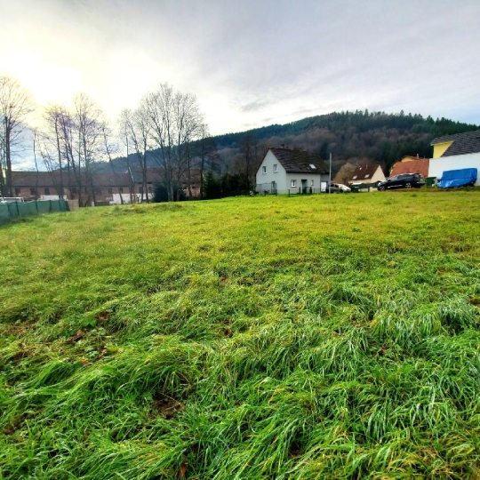 LOLITA JASKO IMMOBILIER : Terrain | SCHIRMECK (67130) | 606.00m2 | 87 000 € 