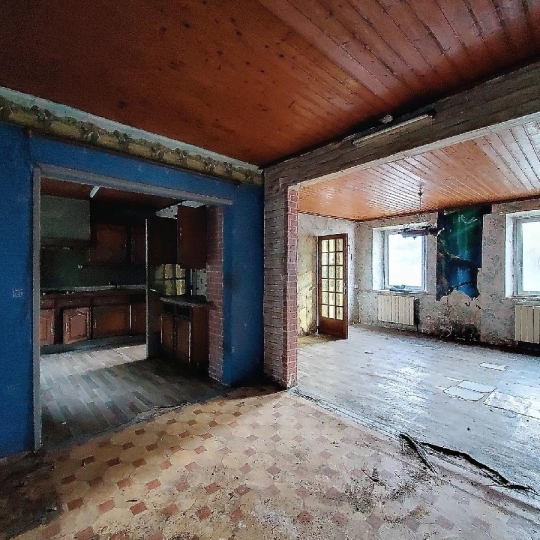  LOLITA JASKO IMMOBILIER : House | WILDERSBACH (67130) | 115 m2 | 55 000 € 