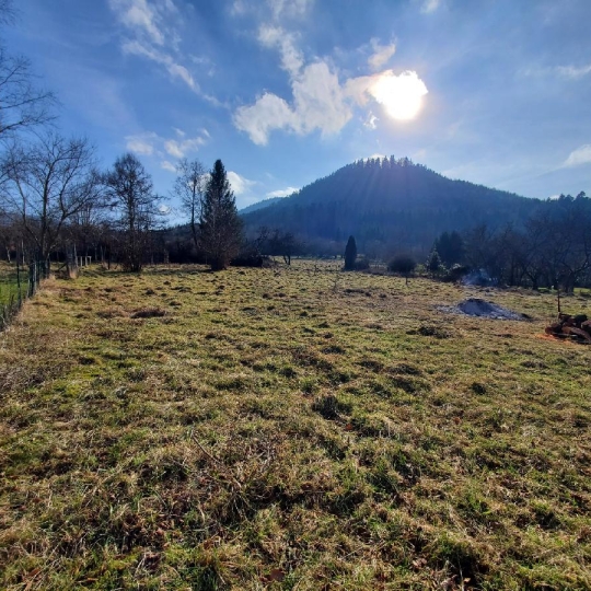LOLITA JASKO IMMOBILIER : Terrain | RAON-SUR-PLAINE (88110) | 1161.00m2 | 29 000 € 