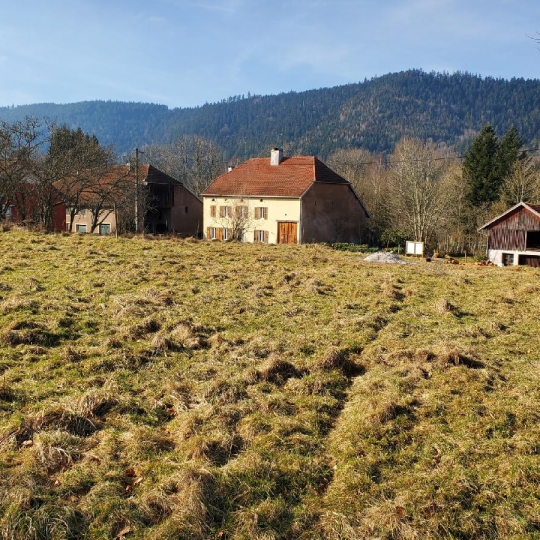  LOLITA JASKO IMMOBILIER : Terrain | RAON-SUR-PLAINE (88110) | 1 161 m2 | 29 000 € 