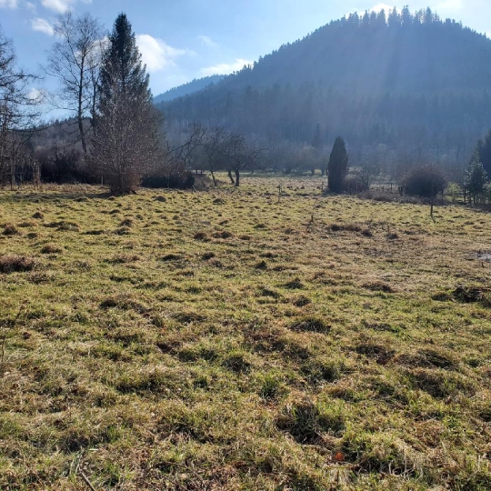  LOLITA JASKO IMMOBILIER : Terrain | RAON-SUR-PLAINE (88110) | 1 161 m2 | 29 000 € 