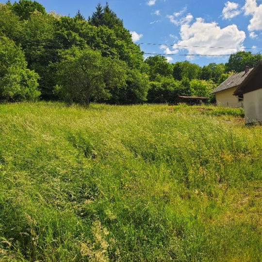  LOLITA JASKO IMMOBILIER : Terrain | RUSS (67130) | 755 m2 | 46 800 € 