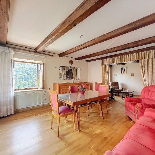  LOLITA JASKO IMMOBILIER : Maison / Villa | NEUVILLER-LA-ROCHE (67130) | 102 m2 | 87 000 € 