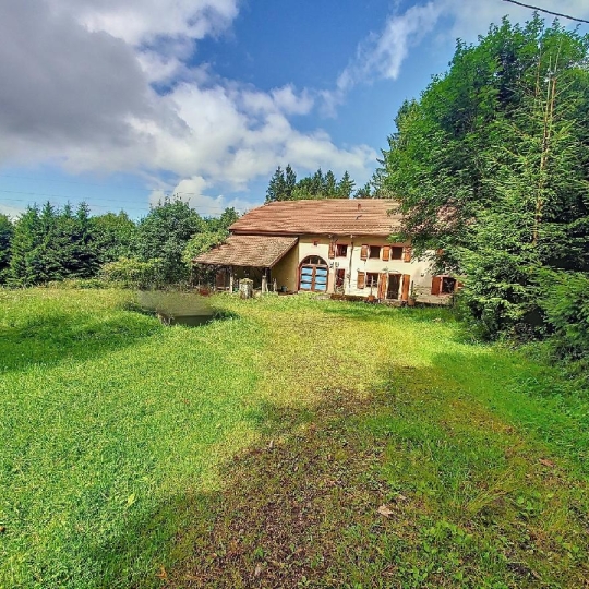 LOLITA JASKO IMMOBILIER : House | SAINT-STAIL (88210) | 140.00m2 | 242 000 € 