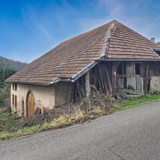  LOLITA JASKO IMMOBILIER : Maison / Villa | WALDERSBACH (67130) | 300 m2 | 58 000 &euro; 