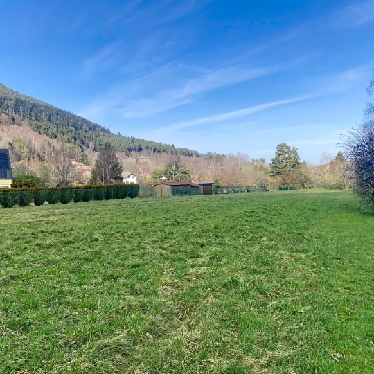  LOLITA JASKO IMMOBILIER : Terrain | PLAINE (67420) | 2 226 m2 | 119 000 &euro; 