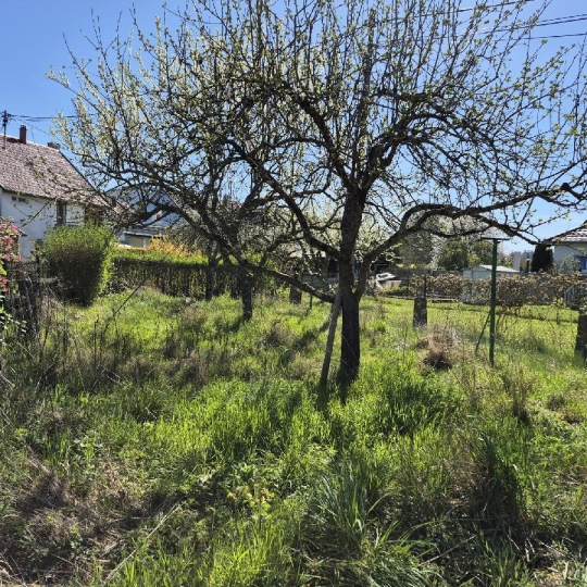  LOLITA JASKO IMMOBILIER : Maison / Villa | WISCHES (67130) | 138 m2 | 124 000 &euro; 