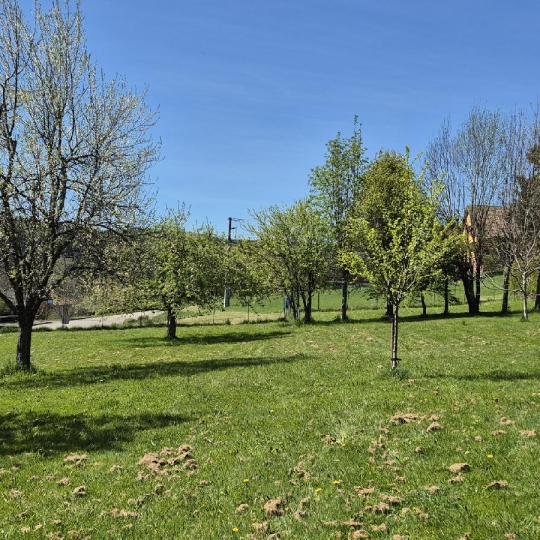  LOLITA JASKO IMMOBILIER : Terrain | COLROY-LA-ROCHE (67420) | 799 m2 | 45 000 &euro; 