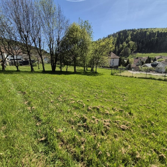  LOLITA JASKO IMMOBILIER : Terrain | COLROY-LA-ROCHE (67420) | 799 m2 | 45 000 &euro; 