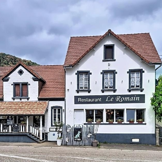  LOLITA JASKO IMMOBILIER : Autres | LA BROQUE (67130) | 352 m2 | 525 000 &euro; 