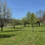  LOLITA JASKO IMMOBILIER : Terrain | COLROY-LA-ROCHE (67420) | 799 m2 | 45 000 &euro; 