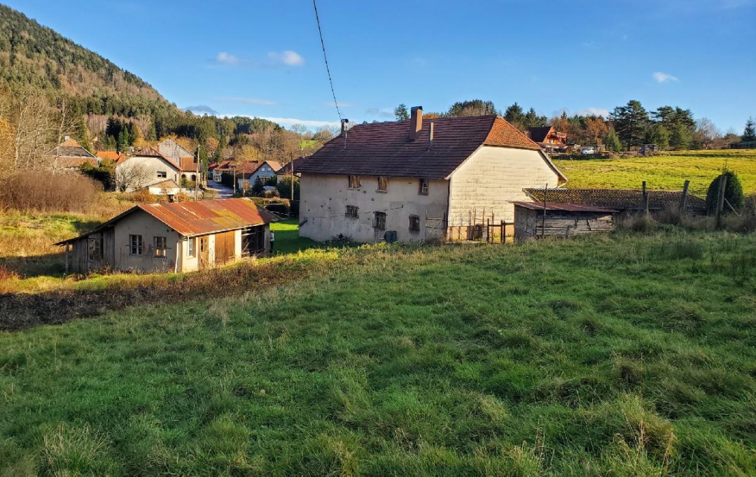 LOLITA JASKO IMMOBILIER : Maison / Villa | PLAINE (67420) | 140 m2 | 178 000 € 