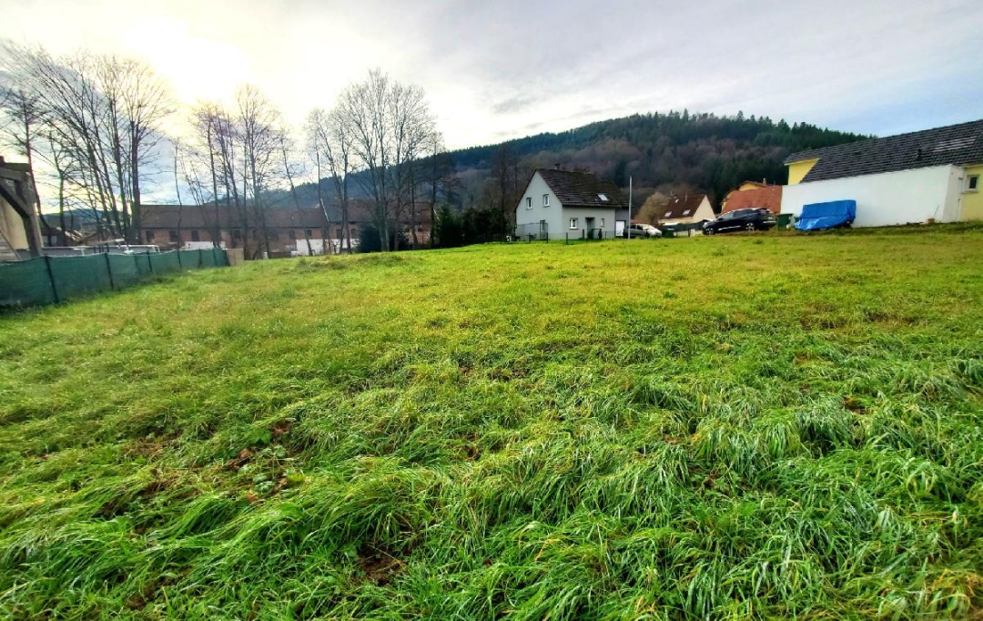 LOLITA JASKO IMMOBILIER : Terrain | SCHIRMECK (67130) | 606 m2 | 87 000 € 