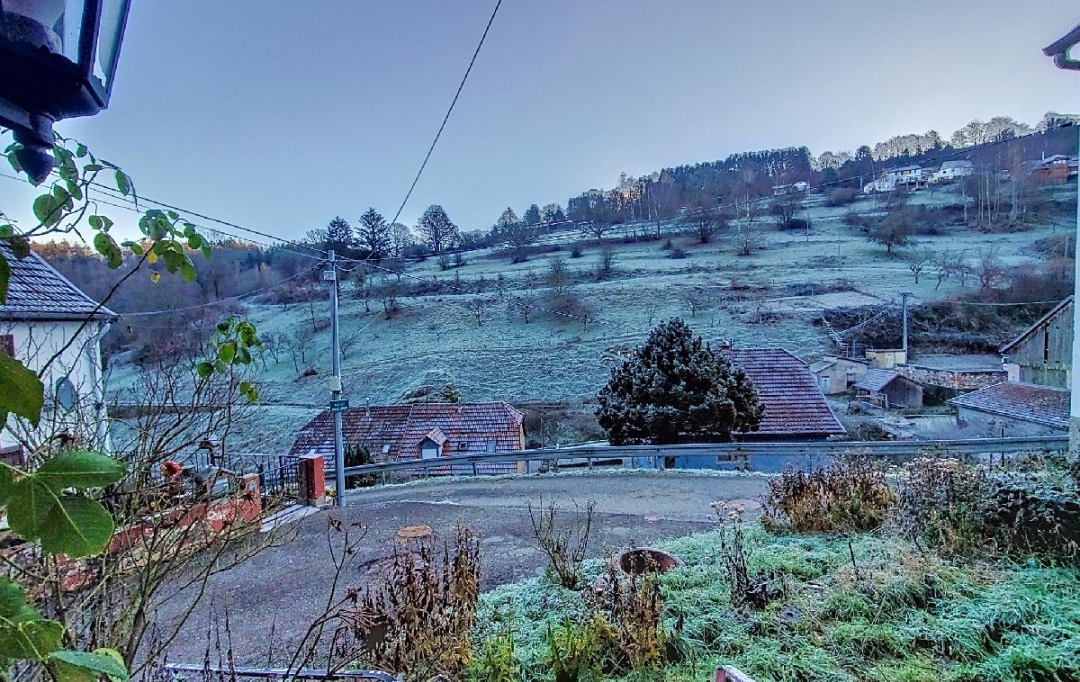 LOLITA JASKO IMMOBILIER : House | WILDERSBACH (67130) | 115 m2 | 55 000 € 