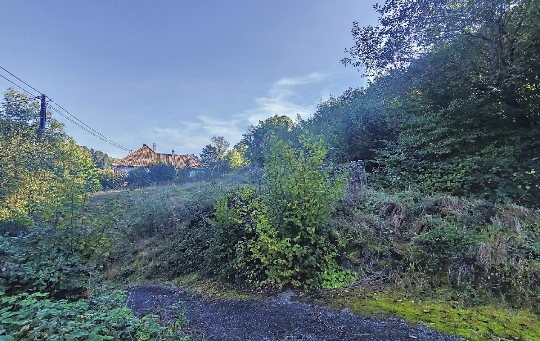 LOLITA JASKO IMMOBILIER : Maison / Villa | ROTHAU (67570) | 202 m2 | 75 000 € 