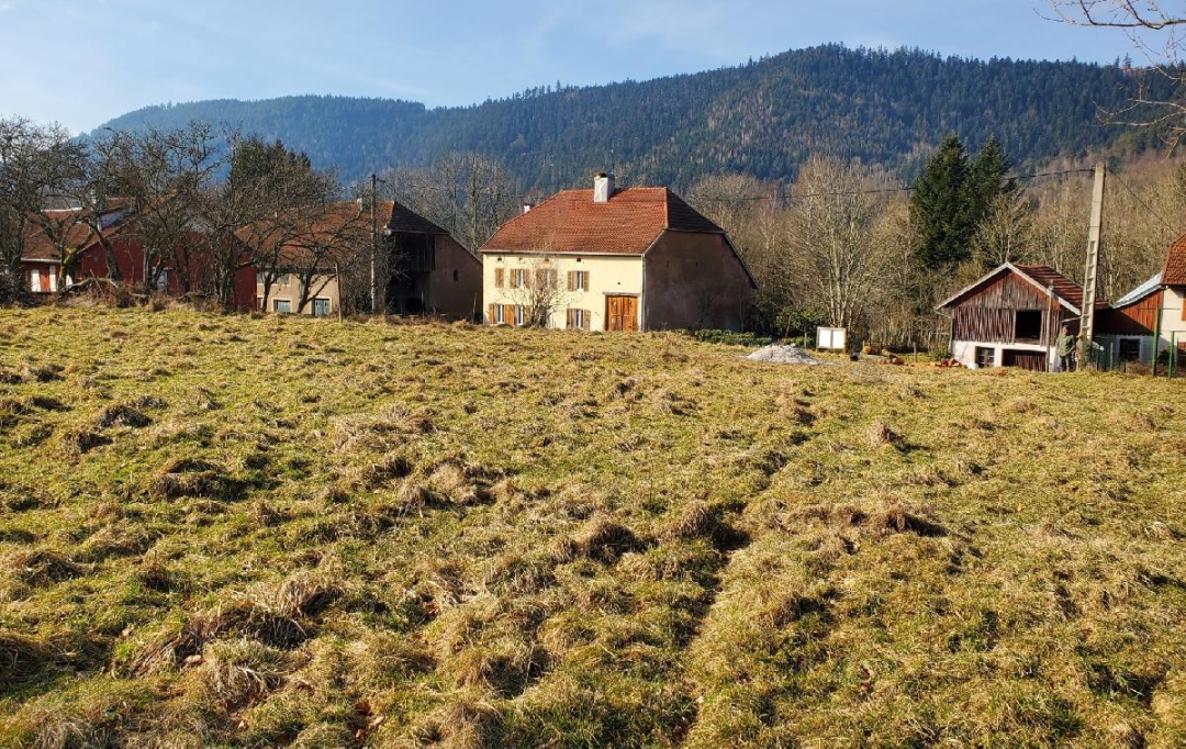 LOLITA JASKO IMMOBILIER : Terrain | RAON-SUR-PLAINE (88110) | 1 161 m2 | 29 000 € 