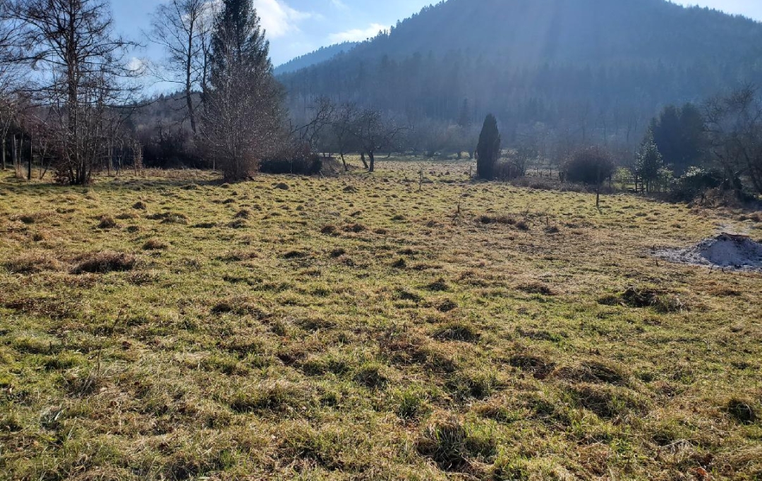 LOLITA JASKO IMMOBILIER : Terrain | RAON-SUR-PLAINE (88110) | 1 161 m2 | 29 000 € 