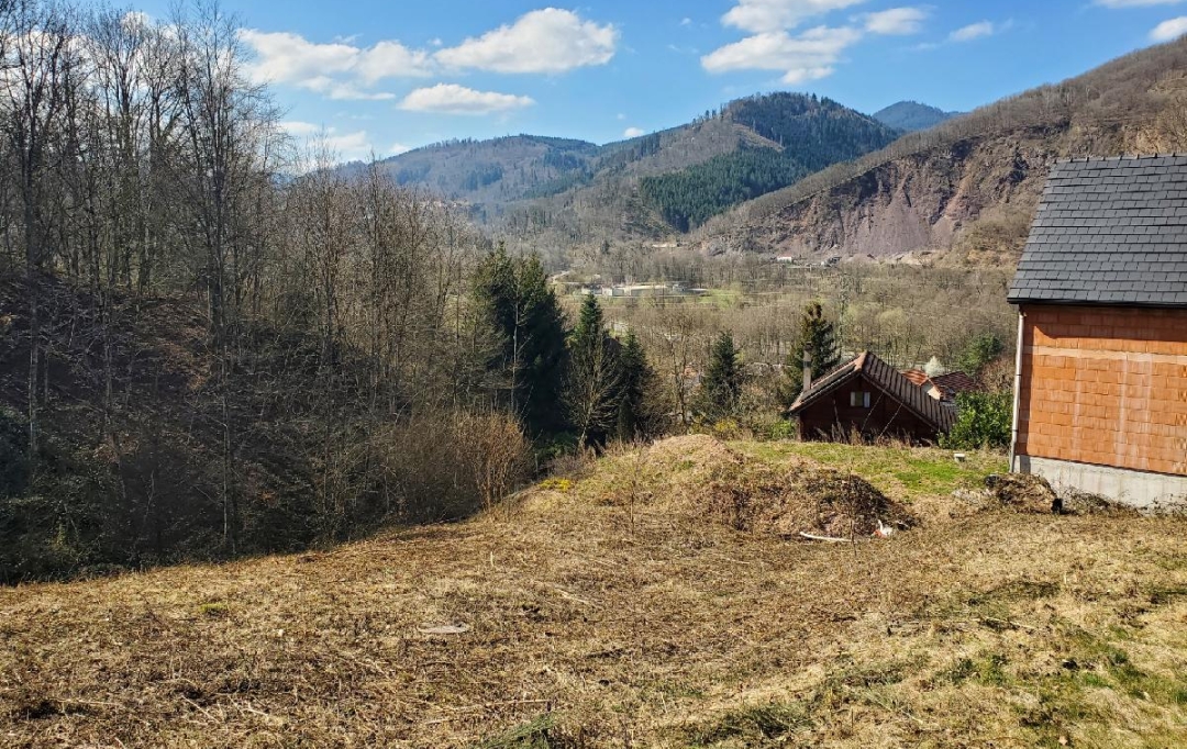 LOLITA JASKO IMMOBILIER : Terrain | RUSS (67130) | 1 563 m2 | 90 000 € 
