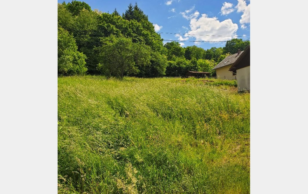 LOLITA JASKO IMMOBILIER : Terrain | RUSS (67130) | 755 m2 | 46 800 € 