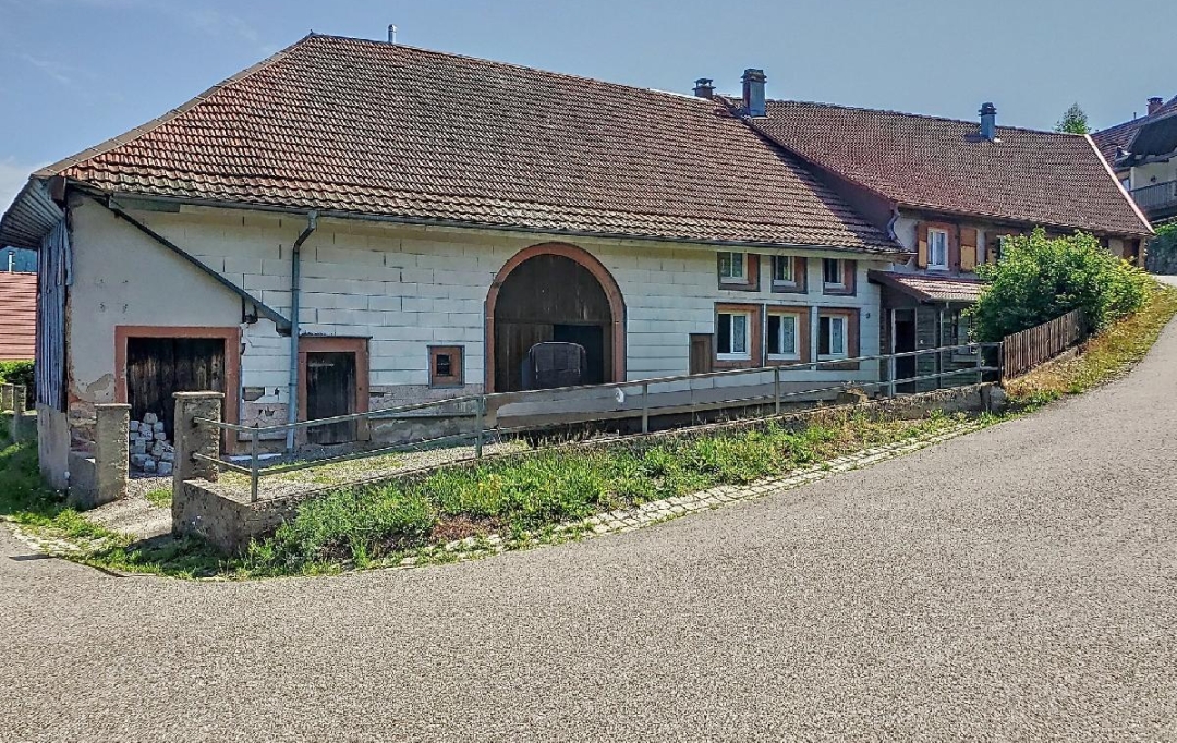 LOLITA JASKO IMMOBILIER : House | BELLEFOSSE (67130) | 207 m2 | 185 000 € 