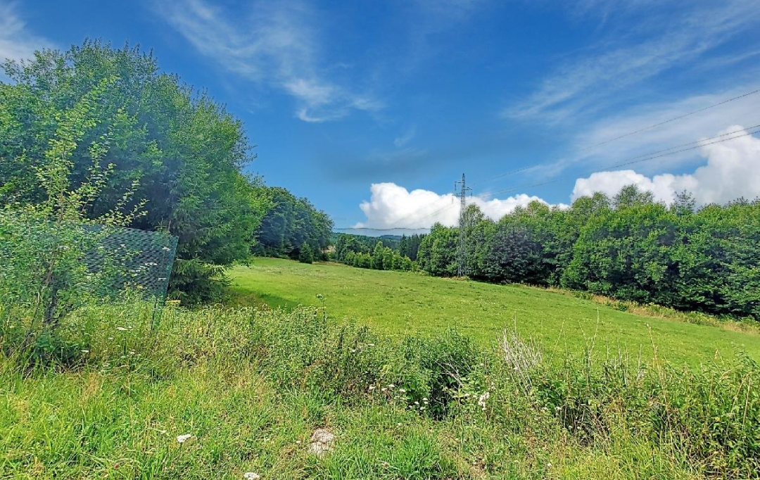LOLITA JASKO IMMOBILIER : Maison / Villa | SAINT-STAIL (88210) | 140 m2 | 242 000 € 