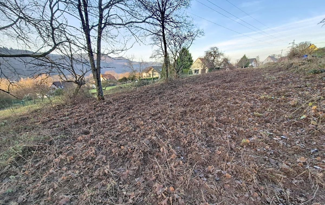 LOLITA JASKO IMMOBILIER : Ground | RUSS (67130) | 1 904 m2 | 87 000 &euro; 