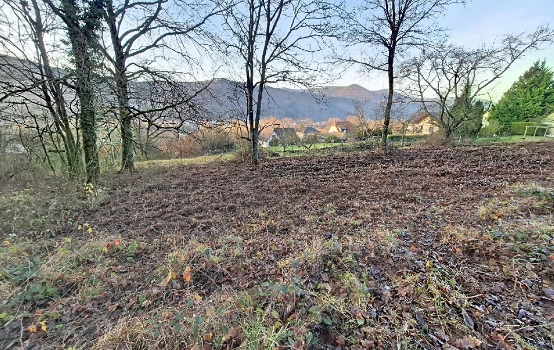 LOLITA JASKO IMMOBILIER : Ground | RUSS (67130) | 1 904 m2 | 87 000 &euro; 