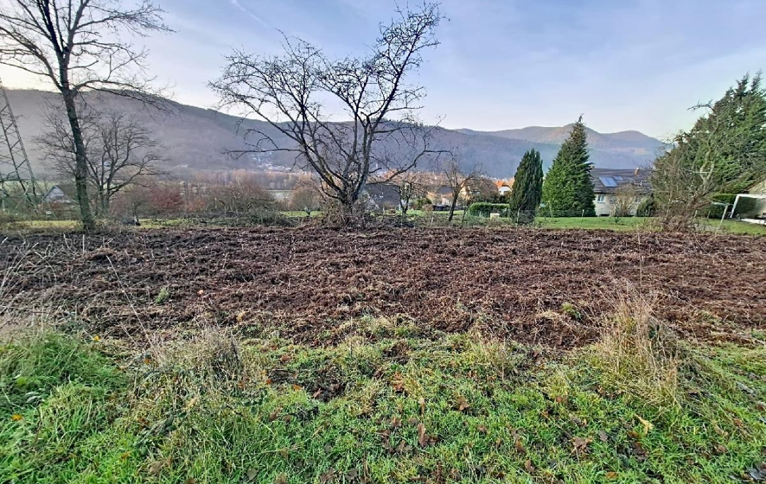 LOLITA JASKO IMMOBILIER : Ground | RUSS (67130) | 1 904 m2 | 87 000 &euro; 