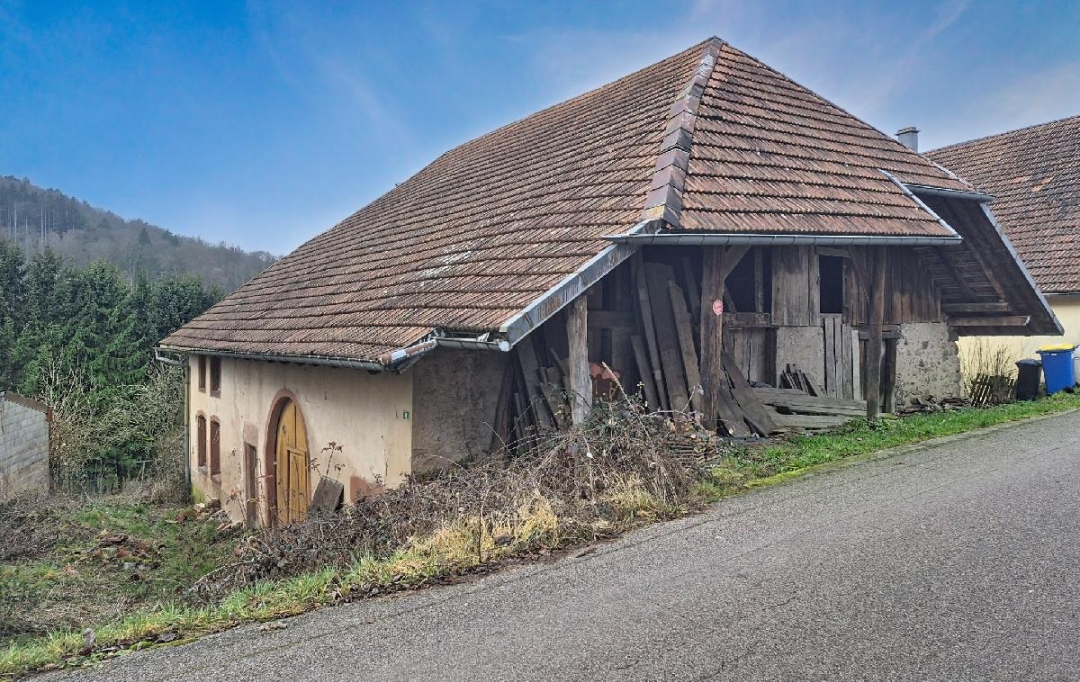 LOLITA JASKO IMMOBILIER : Maison / Villa | WALDERSBACH (67130) | 300 m2 | 58 000 &euro; 