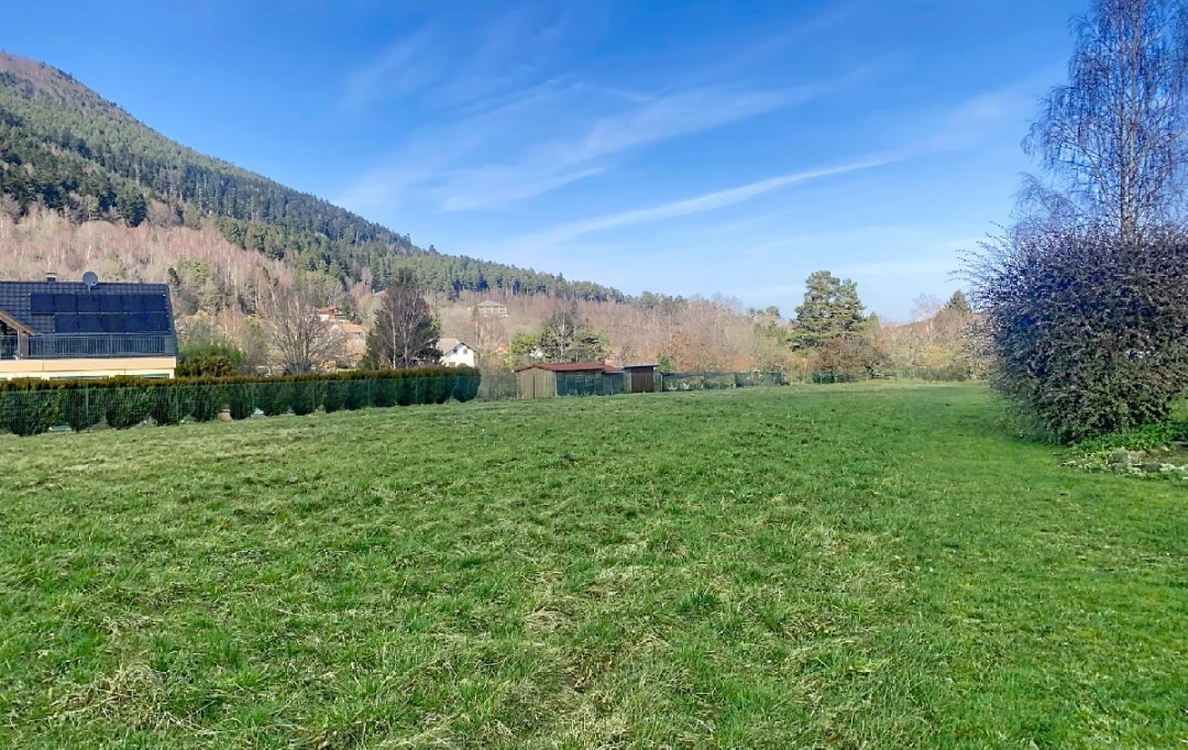 LOLITA JASKO IMMOBILIER : Terrain | PLAINE (67420) | 2 226 m2 | 119 000 &euro; 