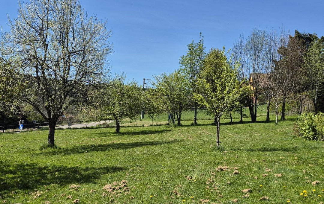 LOLITA JASKO IMMOBILIER : Terrain | COLROY-LA-ROCHE (67420) | 799 m2 | 45 000 &euro; 