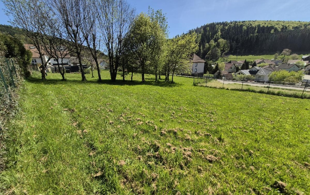 LOLITA JASKO IMMOBILIER : Terrain | COLROY-LA-ROCHE (67420) | 799 m2 | 45 000 &euro; 