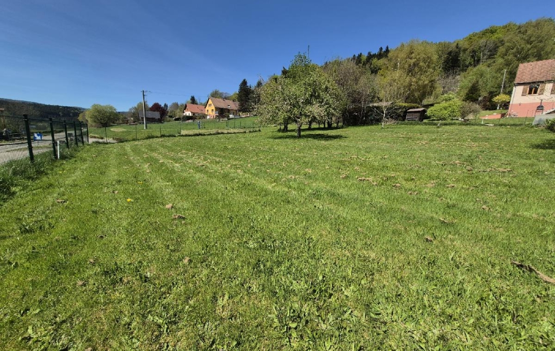LOLITA JASKO IMMOBILIER : Terrain | COLROY-LA-ROCHE (67420) | 799 m2 | 45 000 &euro; 