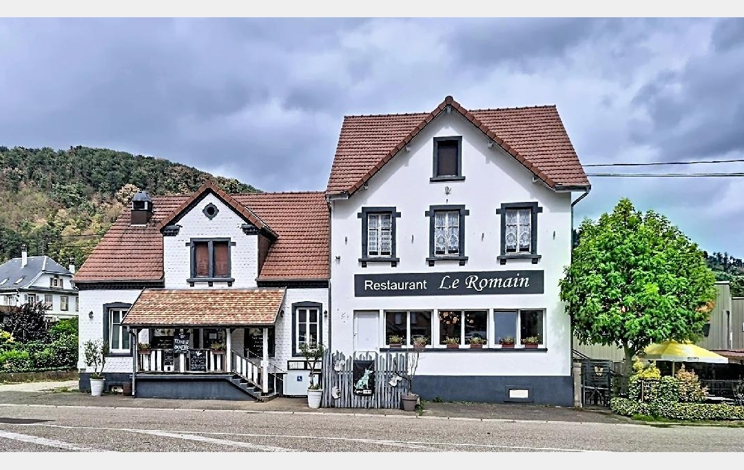 LOLITA JASKO IMMOBILIER : Autres | LA BROQUE (67130) | 352 m2 | 525 000 &euro; 