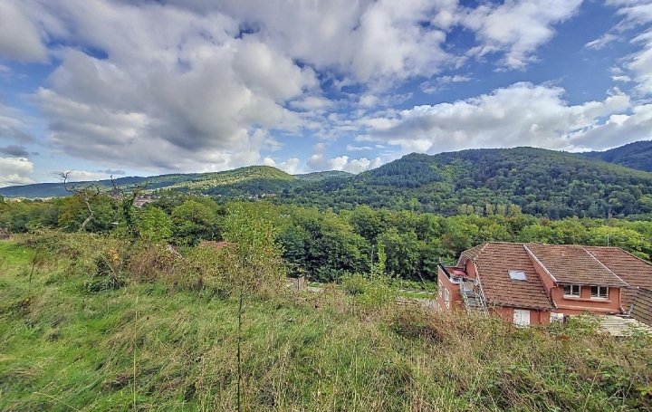  LOLITA JASKO IMMOBILIER Terrain | WISCHES (67130) | 1 429 m2 | 75 000 € 