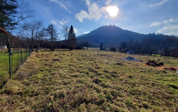Terrain RAON-SUR-PLAINE 1 161 m2 29 000 € Terrain RAON-SUR-PLAINE 1 161 m2 29 000 €