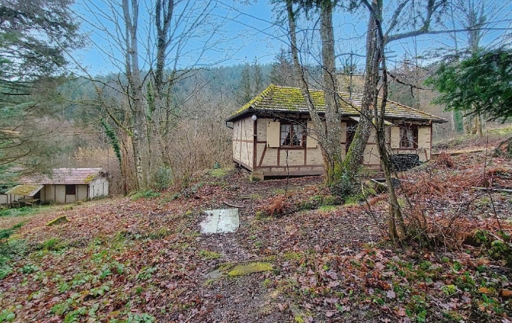 LOLITA JASKO IMMOBILIER Maison / Villa | MUHLBACH-SUR-BRUCHE (67130) | 46 m2 | 85 000 € 
