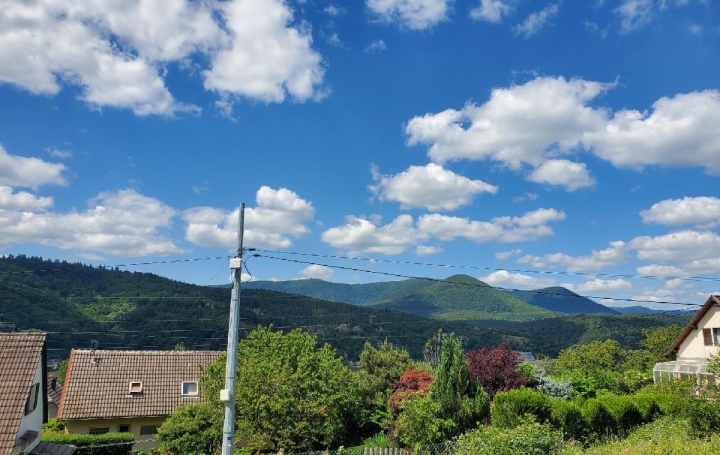  LOLITA JASKO IMMOBILIER Terrain | RUSS (67130) | 755 m2 | 46 800 € 