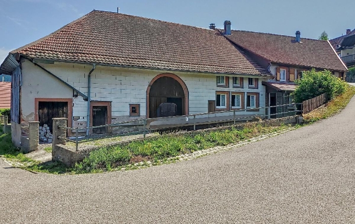  LOLITA JASKO IMMOBILIER Maison / Villa | BELLEFOSSE (67130) | 207 m2 | 185 000 € 