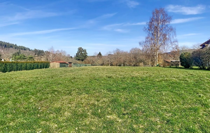  LOLITA JASKO IMMOBILIER Terrain | PLAINE (67420) | 2 226 m2 | 119 000 € 