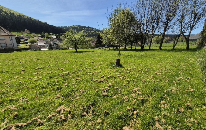  LOLITA JASKO IMMOBILIER Terrain | COLROY-LA-ROCHE (67420) | 799 m2 | 45 000 € 